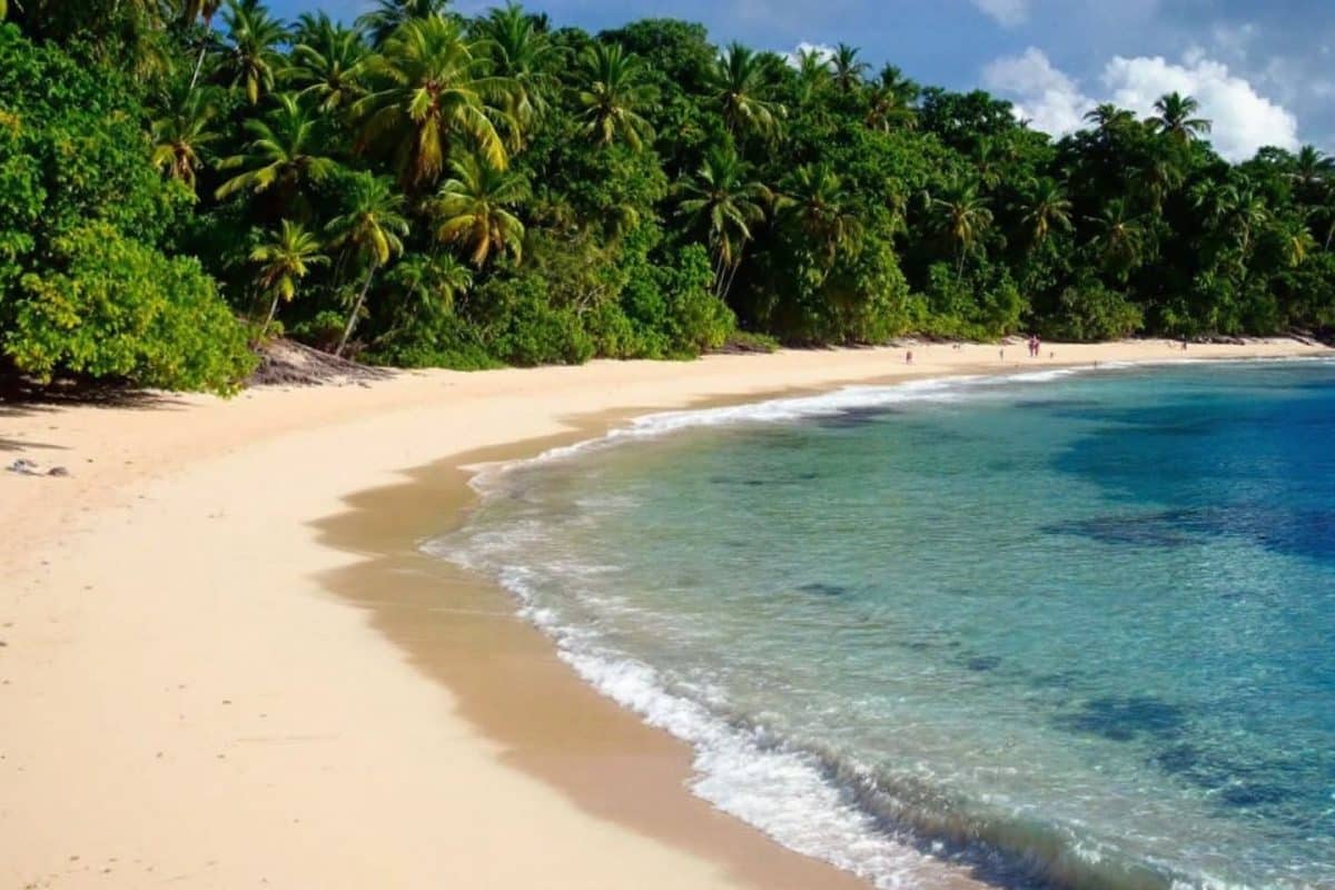 Les îles méconnues de Jamaïque : un paradis tranquille loin des foules