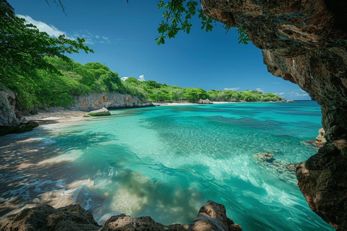 Les merveilles cachées de la Barbade : un joyau caribéen rare et exclusif à explorer