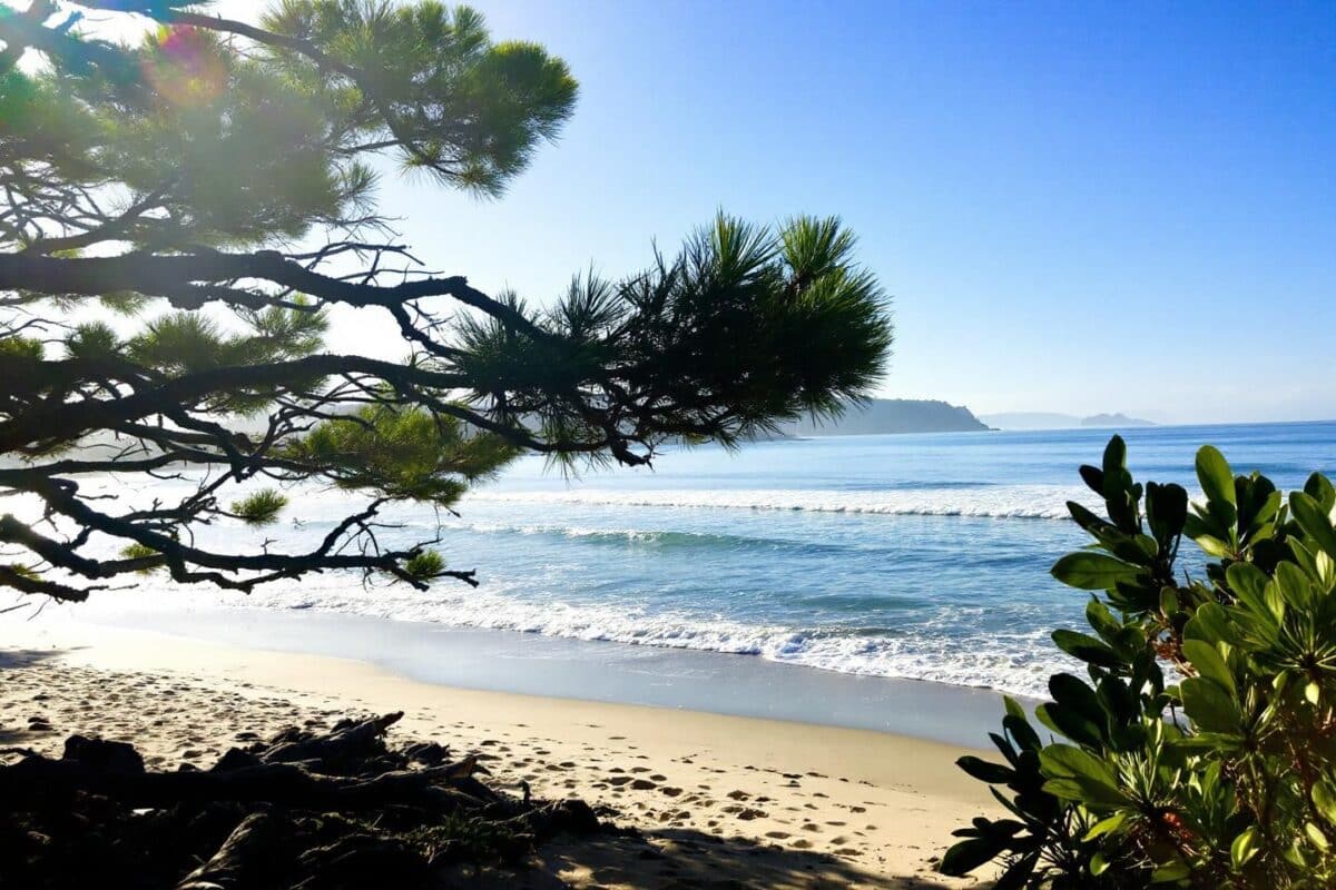 Les Landes vous appellent : découvrez ce joyau balnéaire, l'alternative parfaite à la Côte d’Azur
