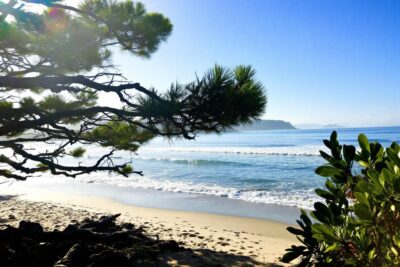 Les Landes vous appellent : découvrez ce joyau balnéaire, l'alternative parfaite à la Côte d’Azur