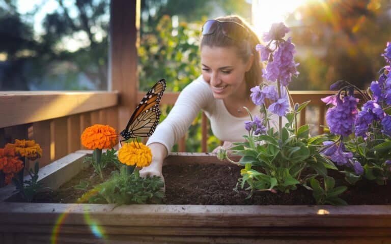 Planter en mars pour voir revenir les papillons : 3 fleurs qui changent l’ambiance de votre jardin